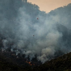 EventSafe Ortaklık Çağrısı