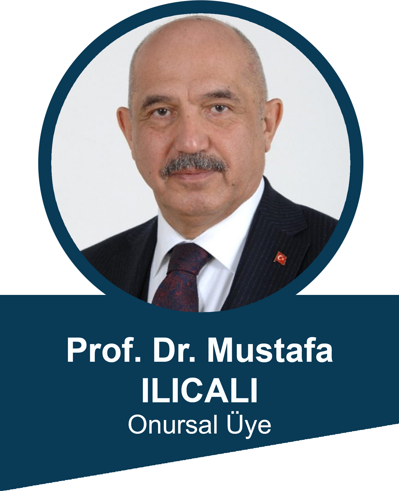 Prof. Dr. Mustafa ILICALI